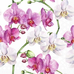 Napkin Elegant Orchids, 33x33cm 20stk  - Ambiente