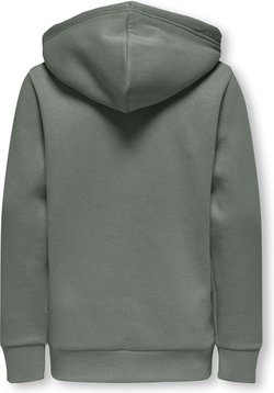 OSJCERES REG VINTAGE PRINT HOOD SWEAT  Castor Gray - Only and sons