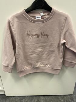 NMFLAISE NREG SWEAT BRUSH Burnished Lilac - Name It