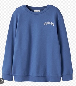 NKMBLAIN LS NREG SWEAT BRUSH Delft - Name It